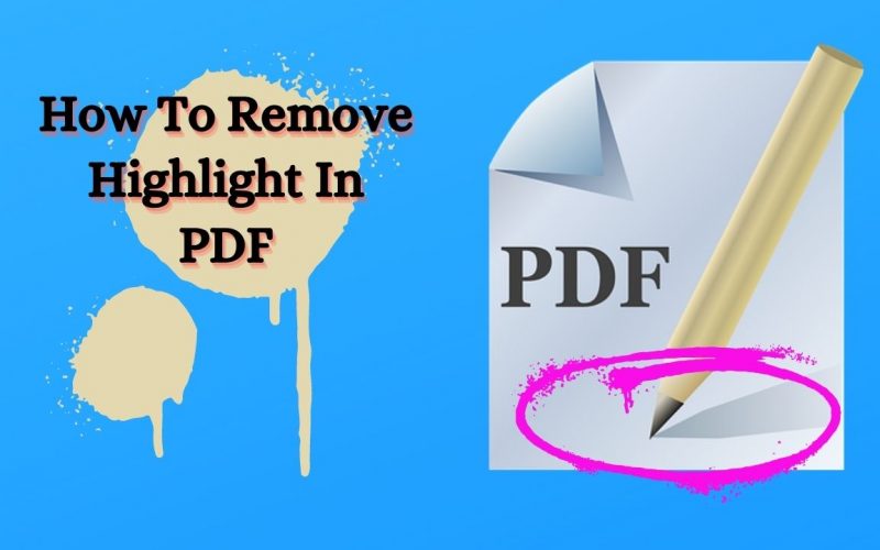 How To Remove Highlights In PDF